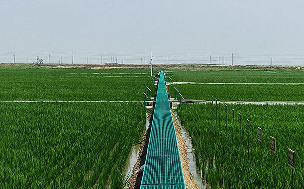 手持便攜式生物毒性檢測儀，與臺式的相比優勢在哪？