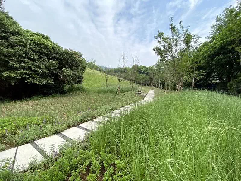 環(huán)境監(jiān)測(cè)站節(jié)省成本、提**率 環(huán)境監(jiān)測(cè)站節(jié)省成本、提**率