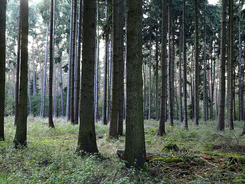 空氣負氧離子檢測儀可實時監(jiān)控空氣質(zhì)量