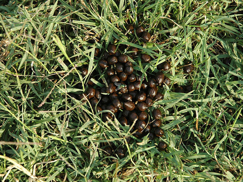 為什么要檢測(cè)肥料中的水分 為什么要檢測(cè)肥料中的水分