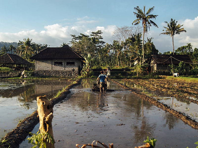 土壤水分測(cè)定儀檢測(cè)土壤需水量 土壤水分測(cè)定儀檢測(cè)土壤需水量