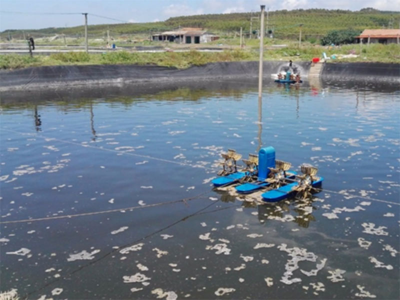 水中亞硝酸鹽含量過高對養殖有什么影響 水中亞硝酸鹽含量過高對養殖有什么影響