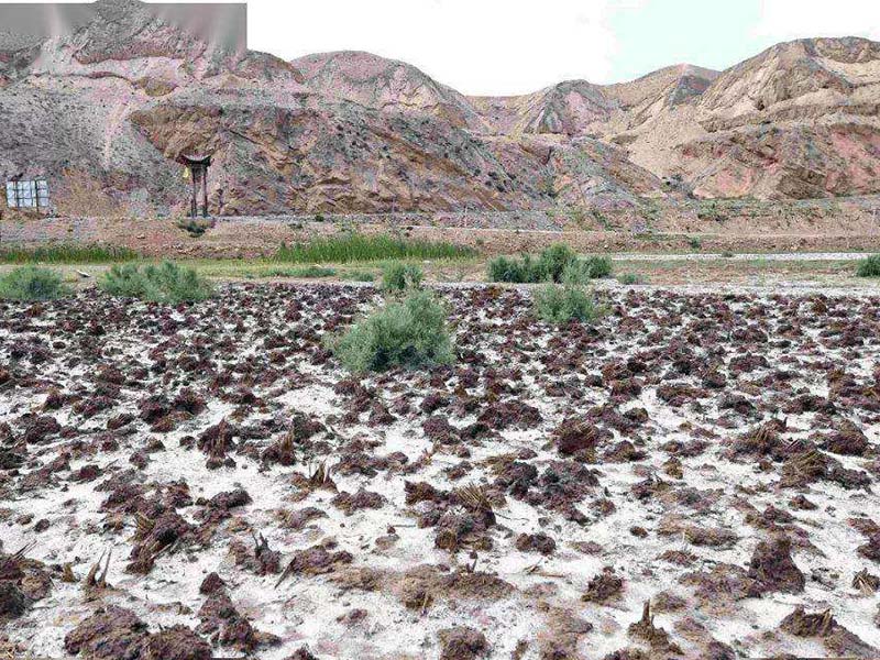 土壤發白是什么原因 土壤發白是什么原因