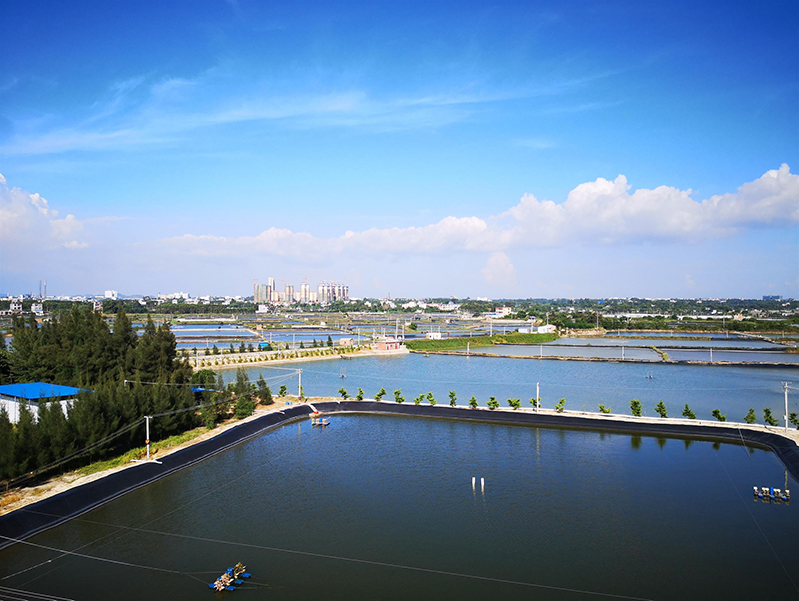 水產(chǎn)養(yǎng)殖殘藥檢測(cè)儀 水產(chǎn)養(yǎng)殖殘藥檢測(cè)儀