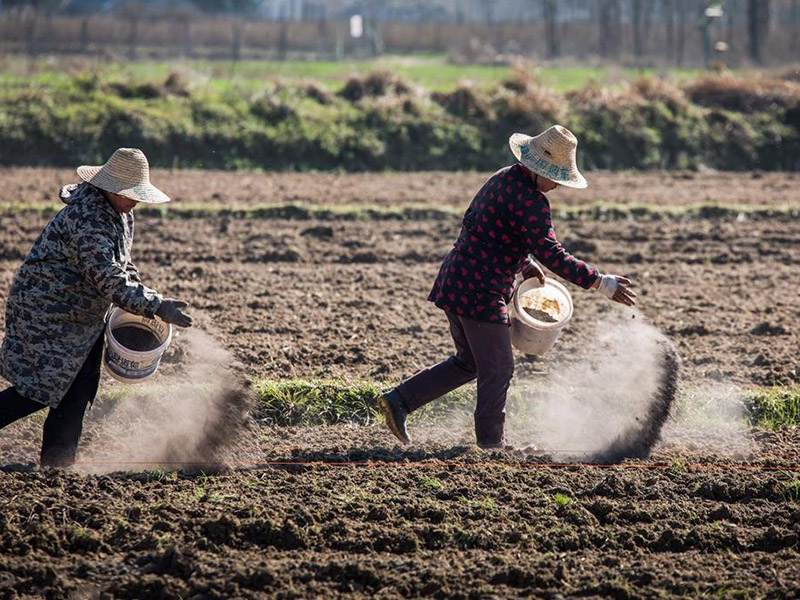 測土配方施肥儀提高肥料利用率 13.jpg