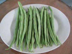 農藥殘留檢測儀，檢測四季豆農藥殘留含量