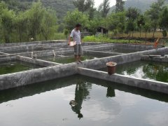 水中硫化氫檢測儀,可以為水產(chǎn)養(yǎng)殖做什么?