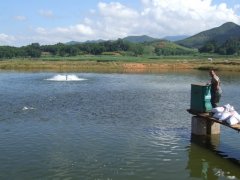 水產(chǎn)養(yǎng)殖檢測儀，為水產(chǎn)提供優(yōu)良的生長環(huán)境